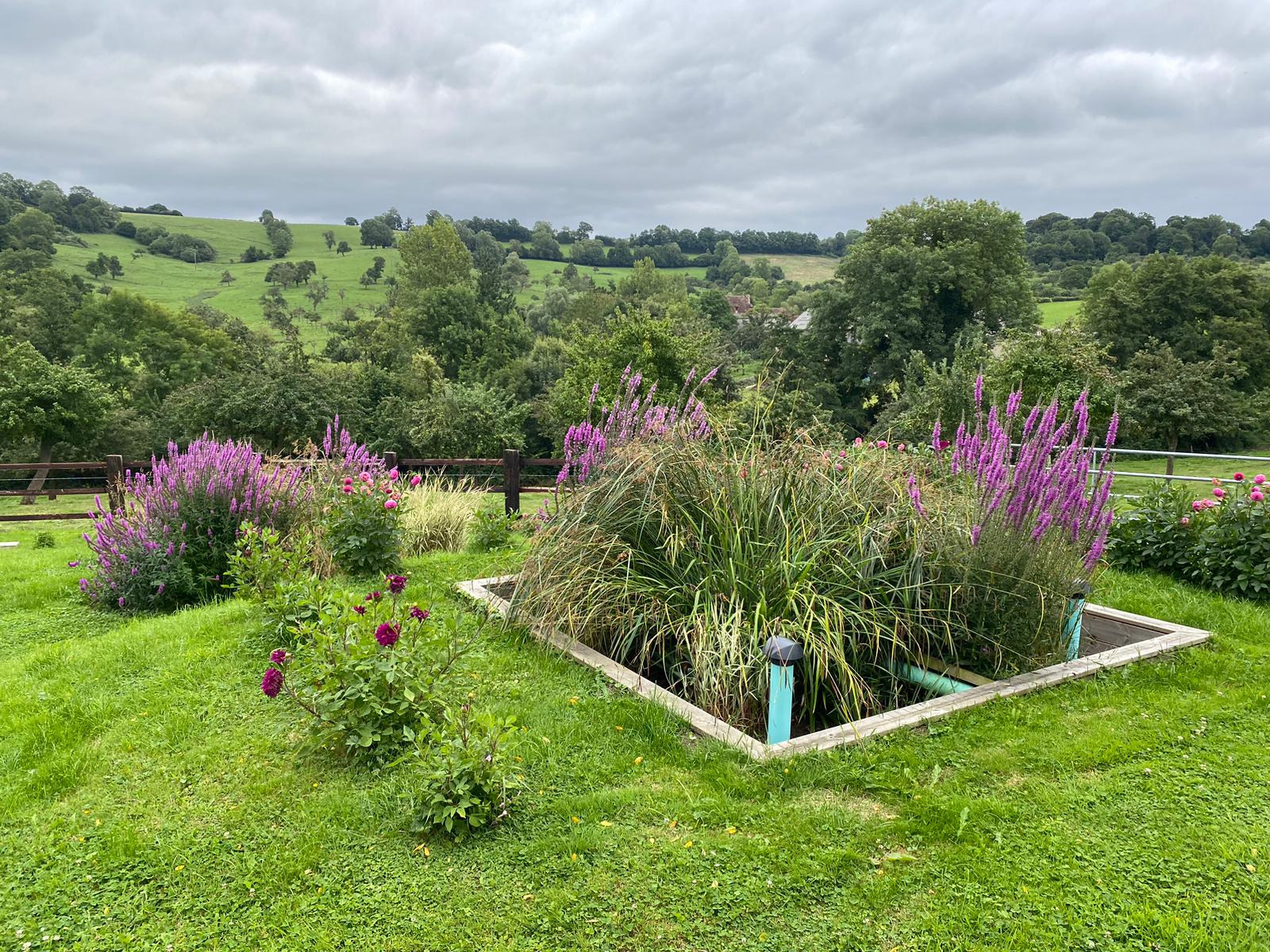 WhatsApp Image 2024 01 08 a 14.56.58 55f33697